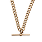 Antique Gold Albert Chain