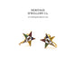 Vintage Masonic Gold and Enamel Earrings (Order of the Eastern Star)