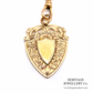 Antique Long Guard Chain and Medallion