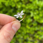 Georgian Diamond Butterfly Ring
