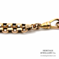 Antique Long Guard Chain and Medallion