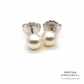 Tiffany Signature Pearl Ear Studs (18ct White Gold)