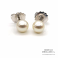 Tiffany Signature Pearl Ear Studs (18ct White Gold)