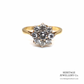 Antique Diamond Cluster Ring (0.50ct; 18ct gold)