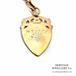 Antique Long Guard Chain and Medallion